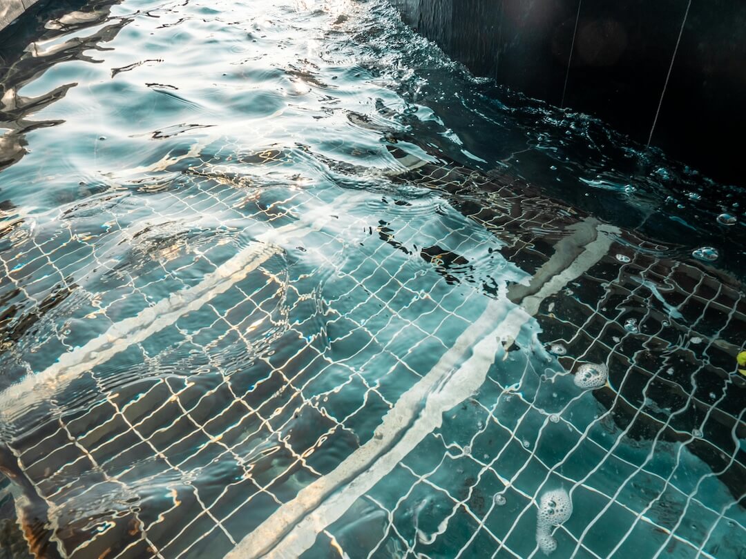 Florida Climate and Pool Health: Why Regular Testing Matters Image